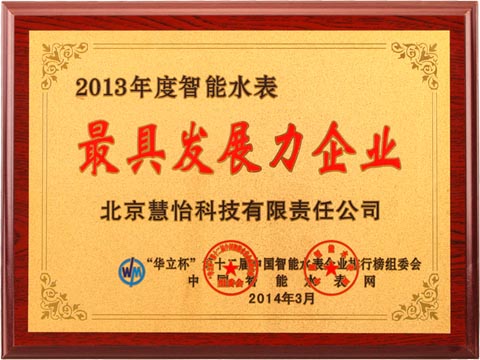 2013年度智能水表最具发展力企业